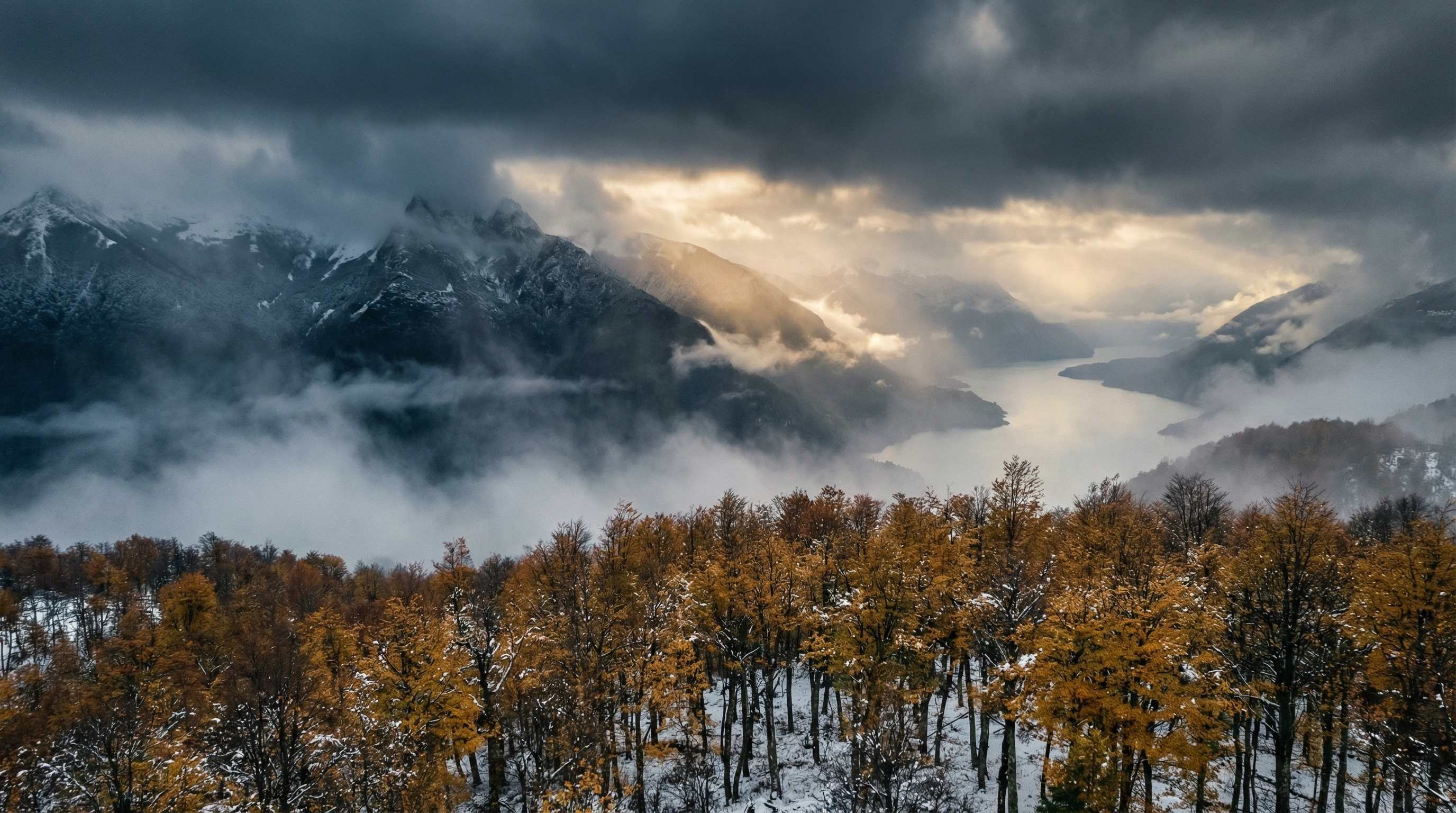 Bosques y montañas de la Patagonia